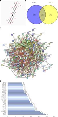 Decoding the mechanism of Eleutheroside E in treating osteoporosis via network pharmacological analysis and molecular docking of osteoclast-related genes and gut microbiota